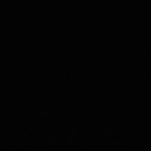 Meet your Posher, Logan